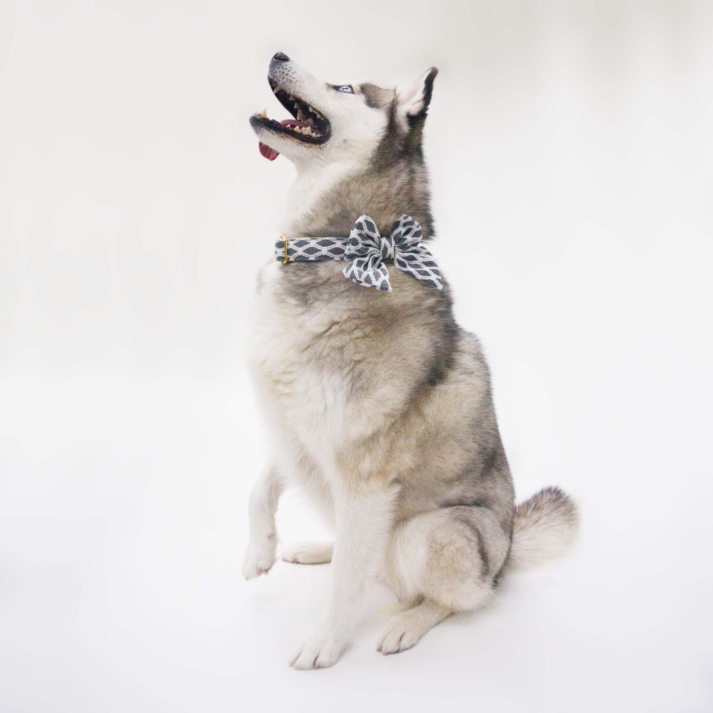 Hazey Grey Collar