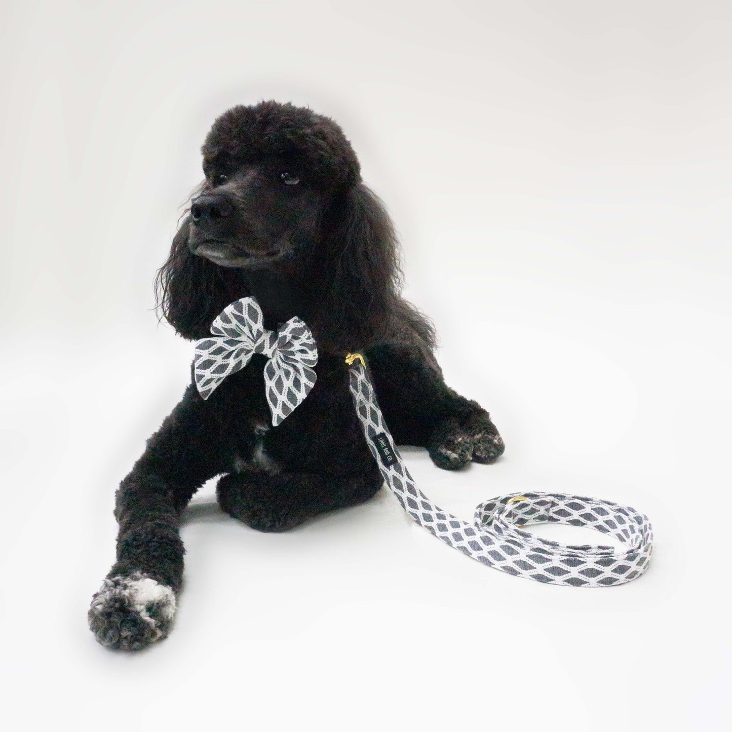 Hazey Grey Harness Set