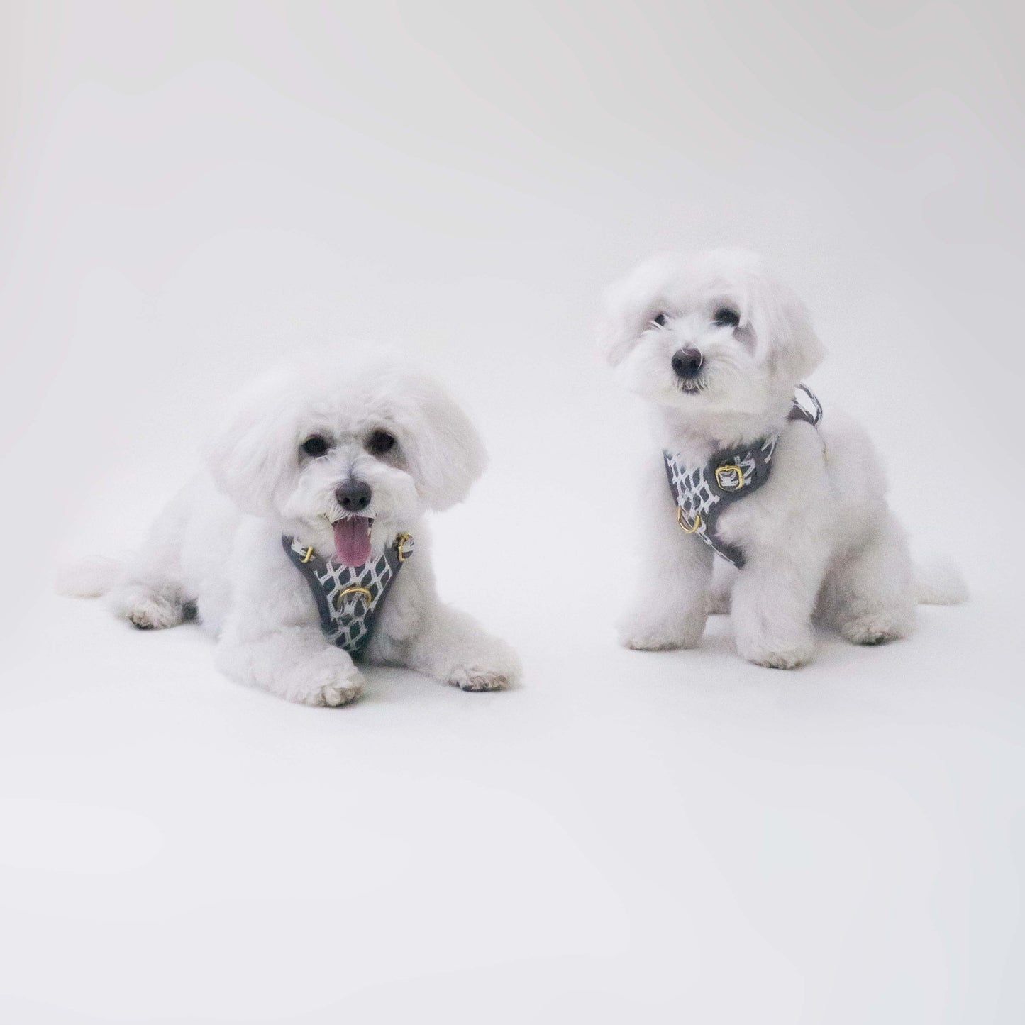 Hazey Grey Harness
