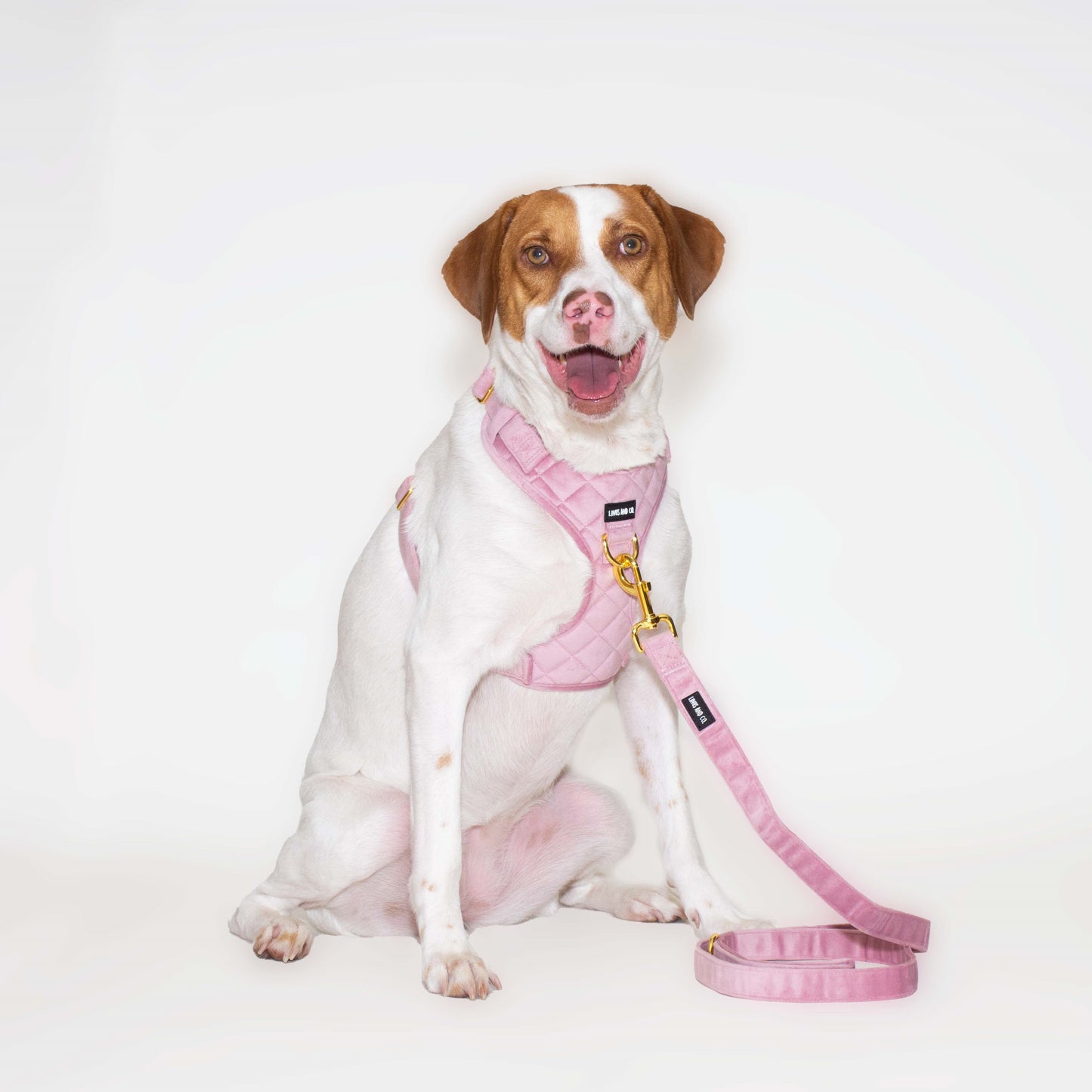 Blush Comfort Harness Set