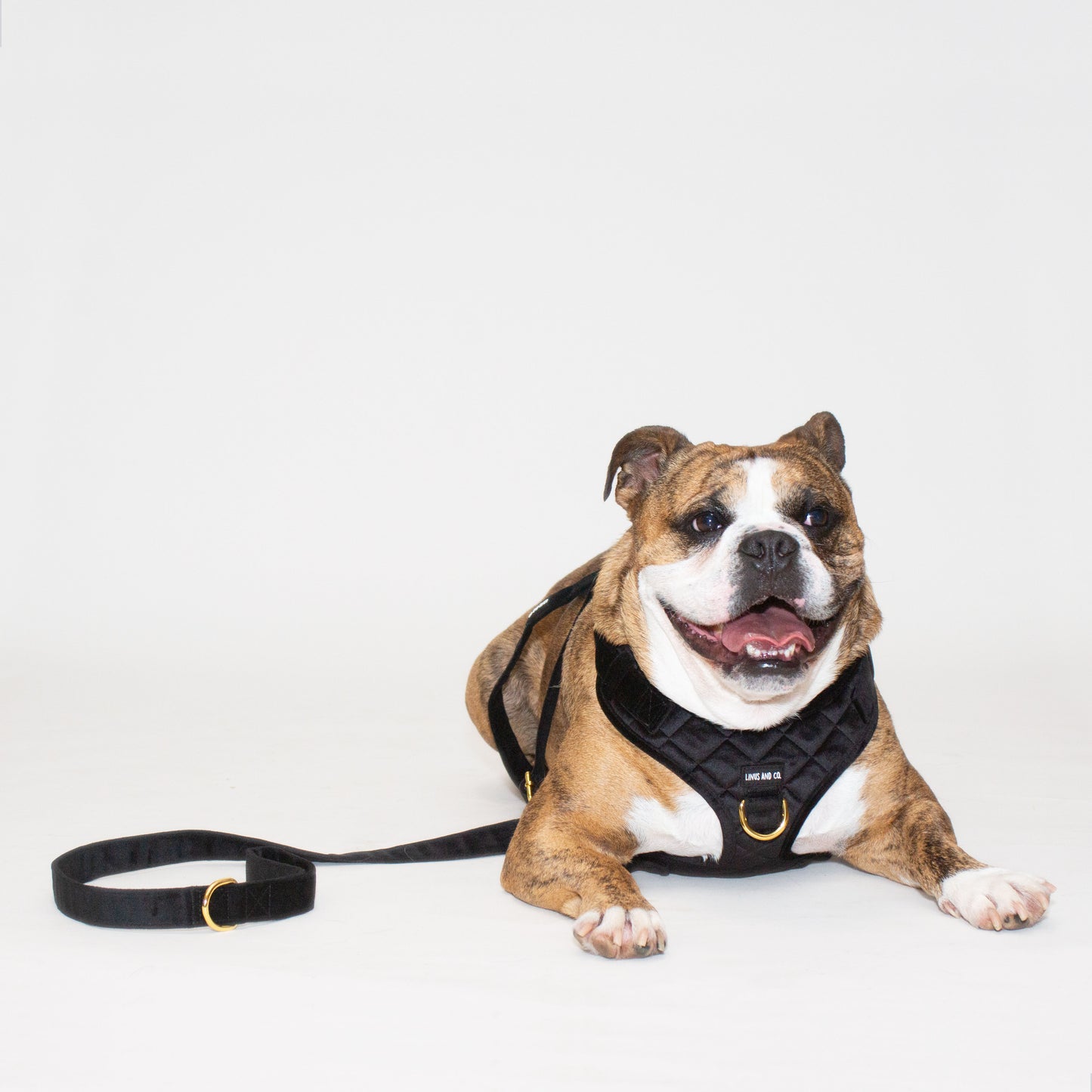 Noir Comfort Harness Set