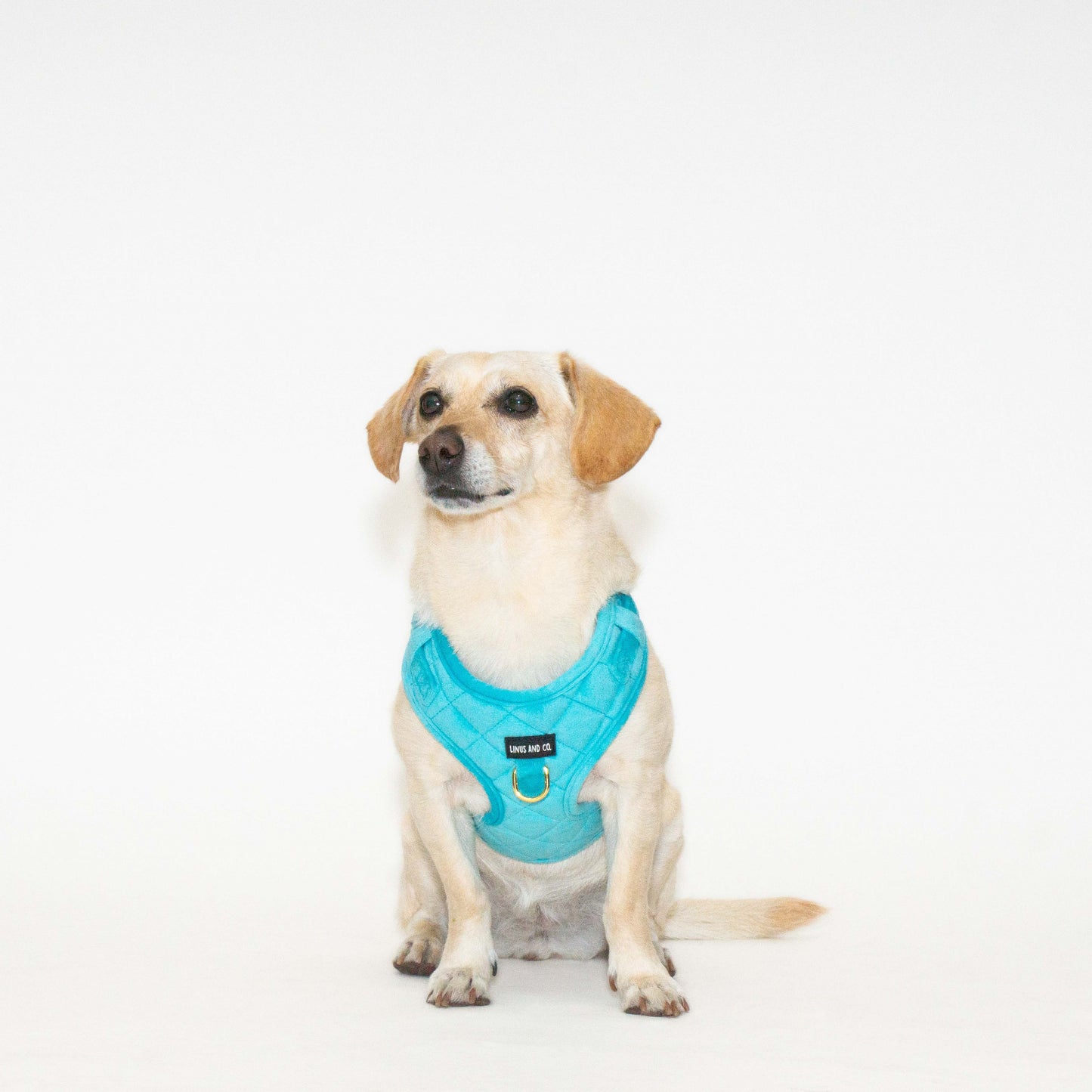 Azure Comfort Harness Set