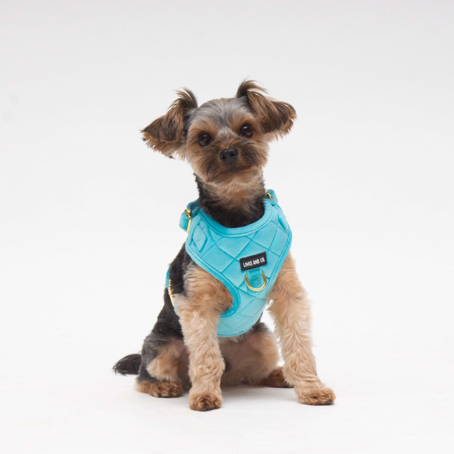Azure Comfort Harness