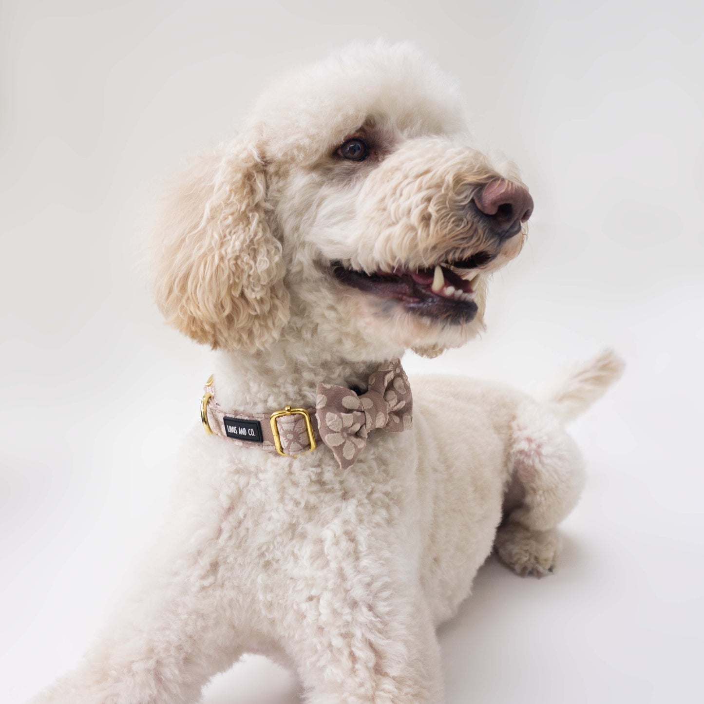 Bisque Bloom Collar