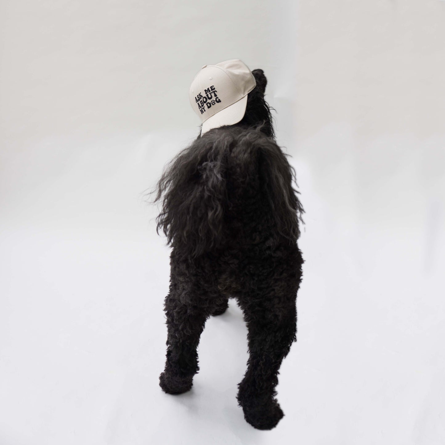 Ask Me About My Dog Hat