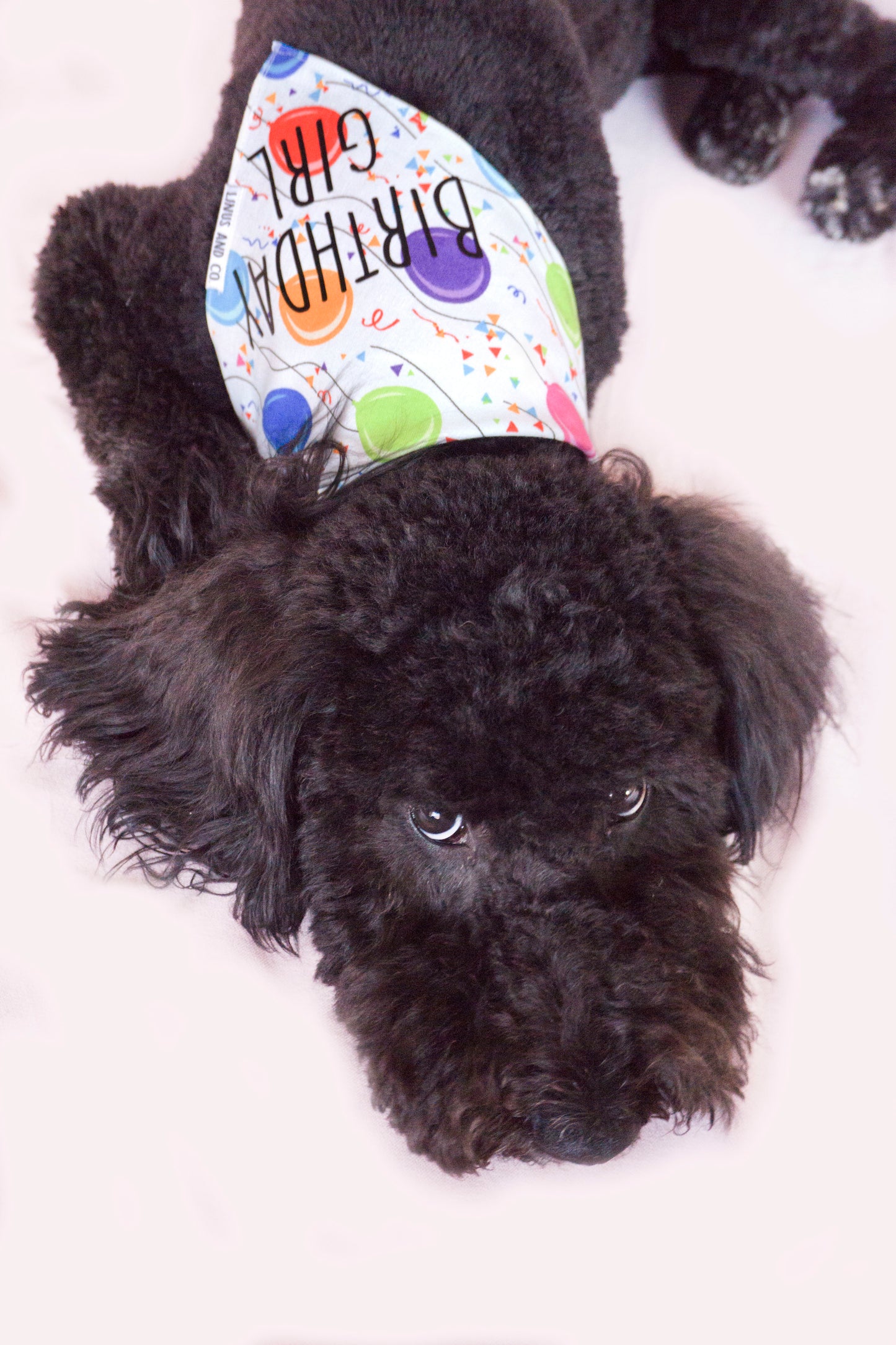 Birthday Bandana