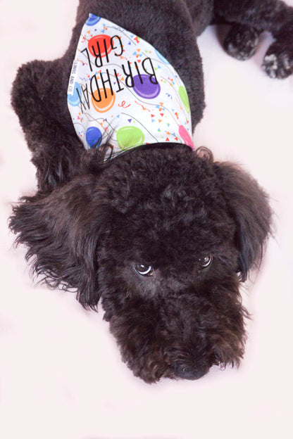 Birthday Bandana
