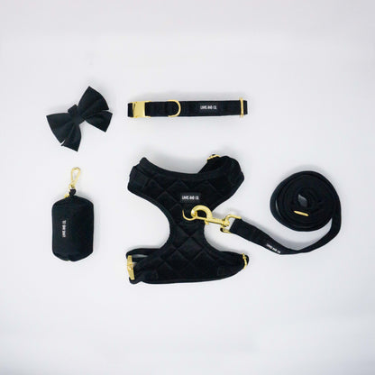 Noir Comfort Harness Set