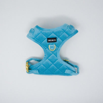 Azure Comfort Harness