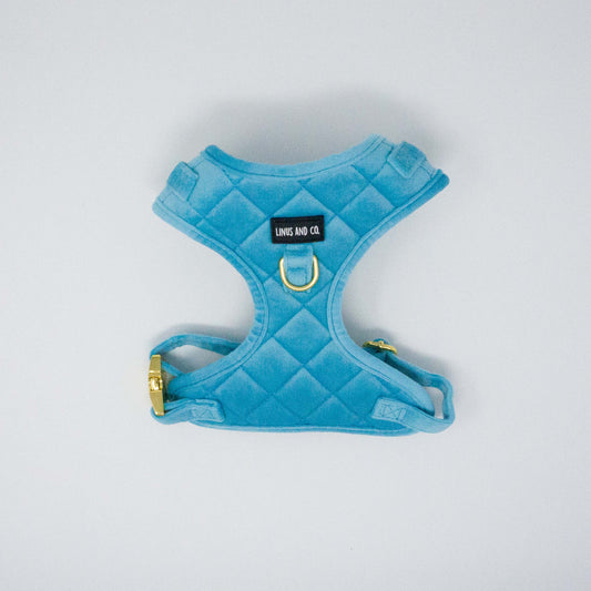 Azure Comfort Harness