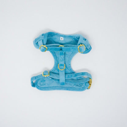 Azure Comfort Harness
