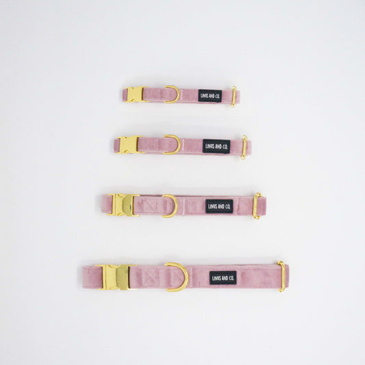 Blush Comfort Collar