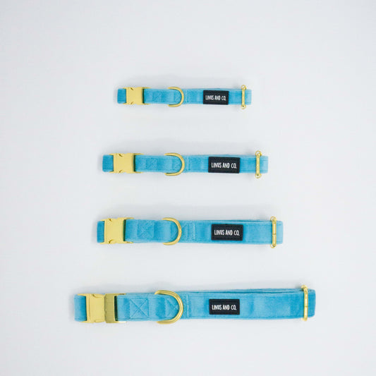 Azure Comfort Collar