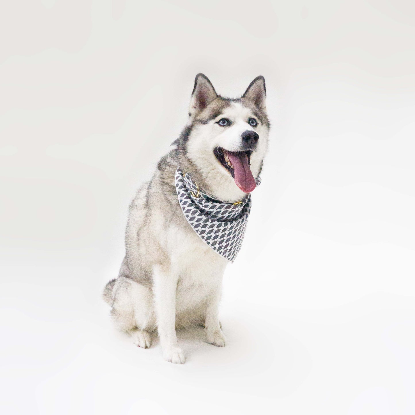 Hazey Grey Bandana