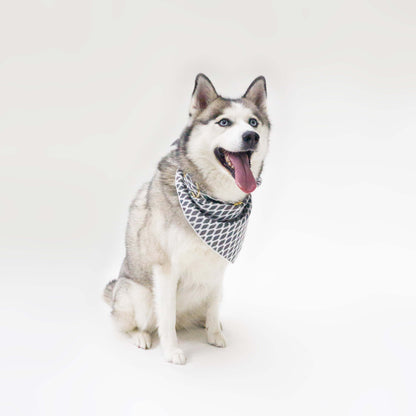 Hazey Grey Bandana