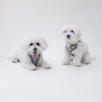 Hazey Grey Harness