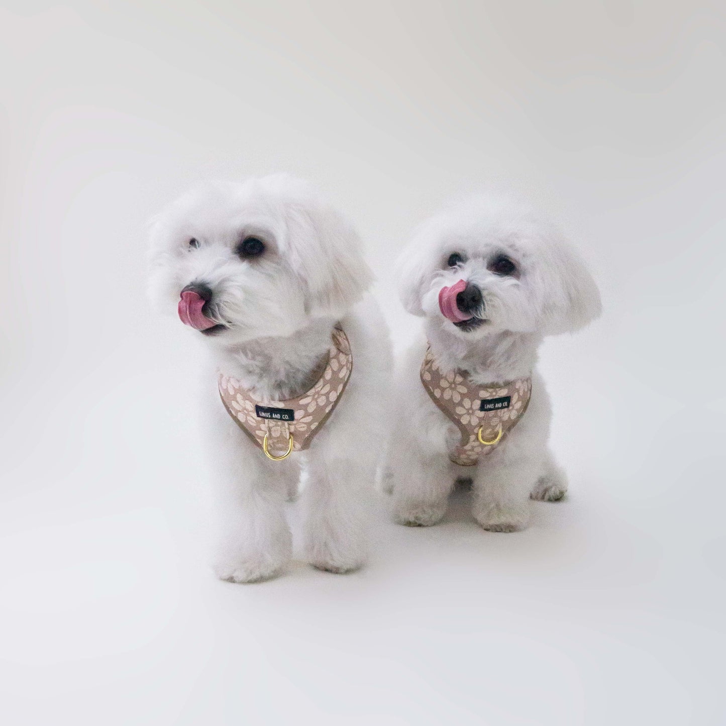 Bisque Bloom Harness