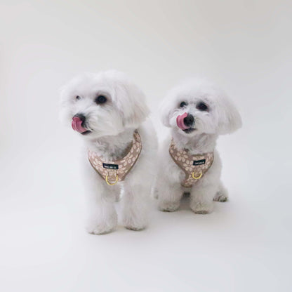 Bisque Bloom Harness