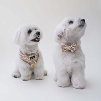 Bisque Bloom Bow Tie
