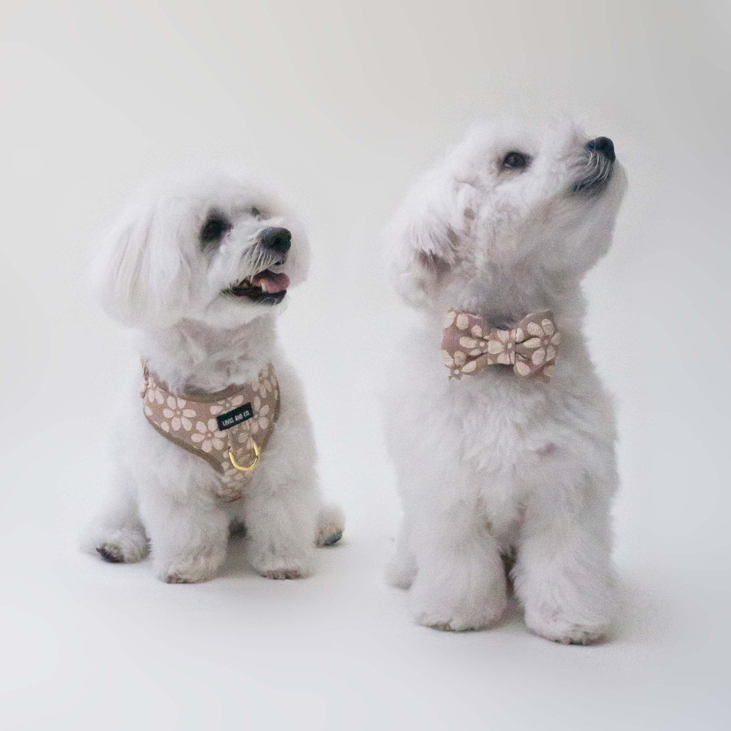 Bisque Bloom Harness Set