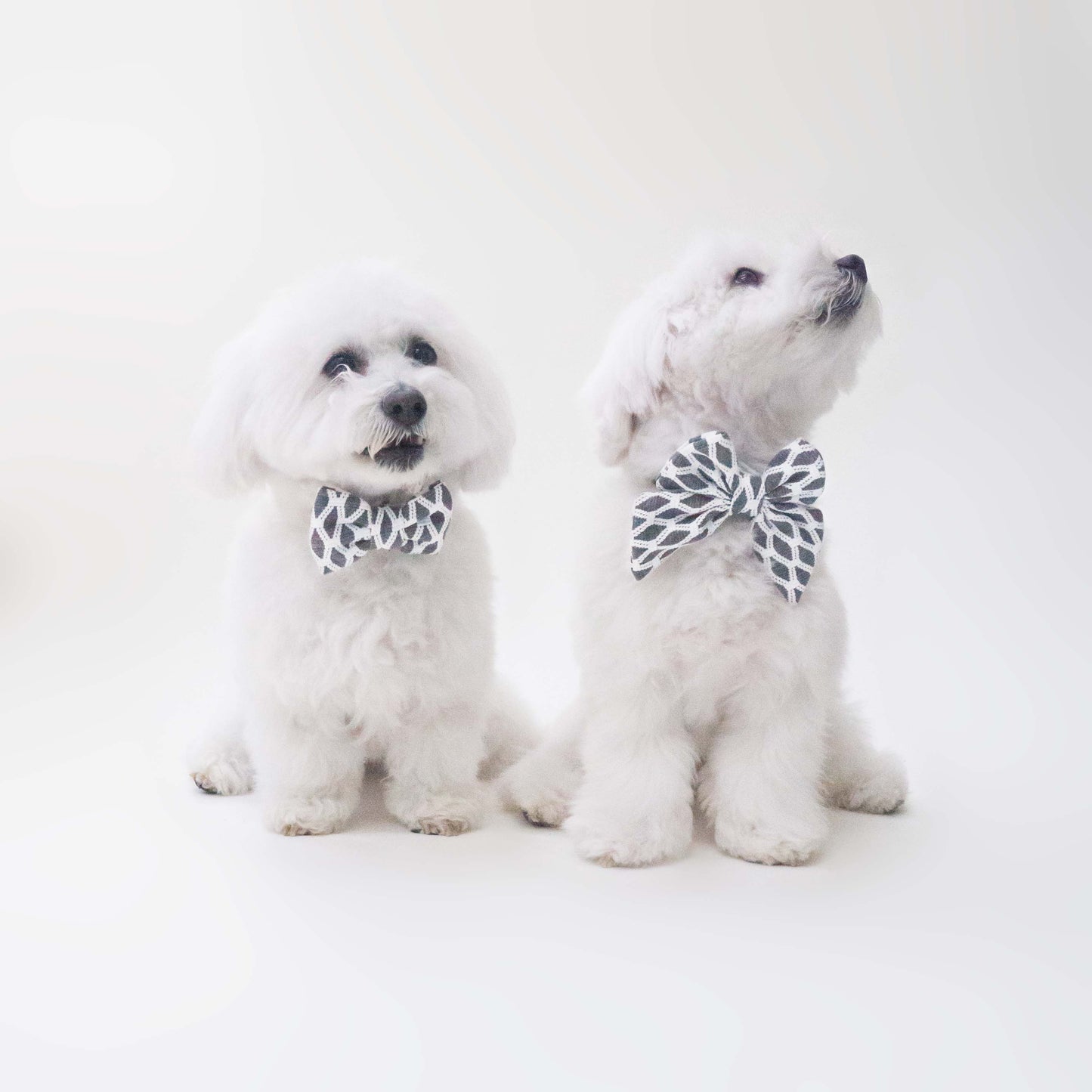 Hazey Grey Bow Tie