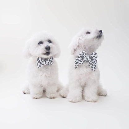 Hazey Grey Bow Tie