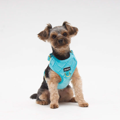 Azure Comfort Harness
