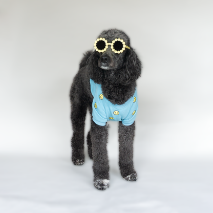 Smiley Sweater - Pet