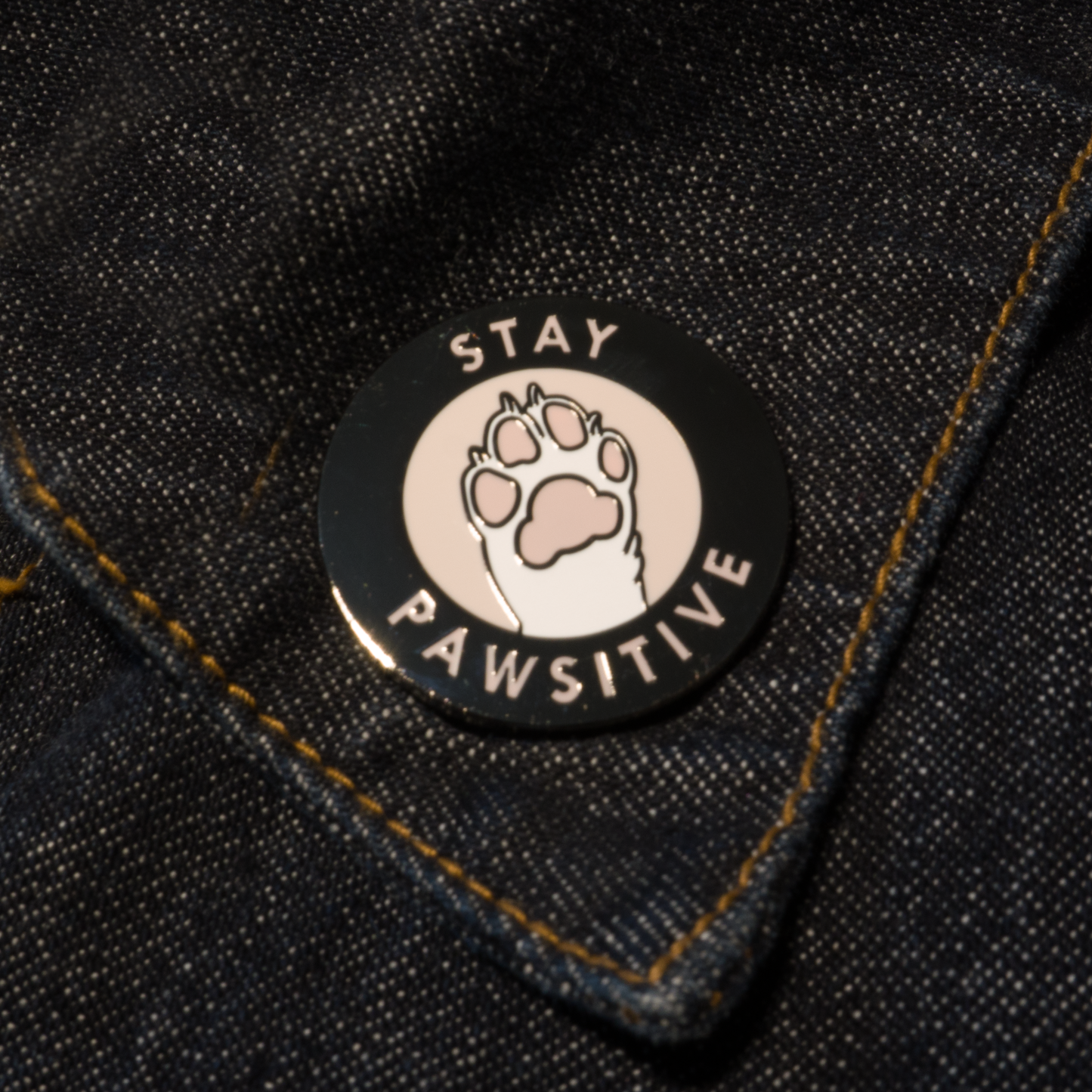 Stay Pawsitive Pin