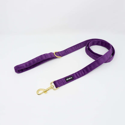 Amethyst Comfort Leash
