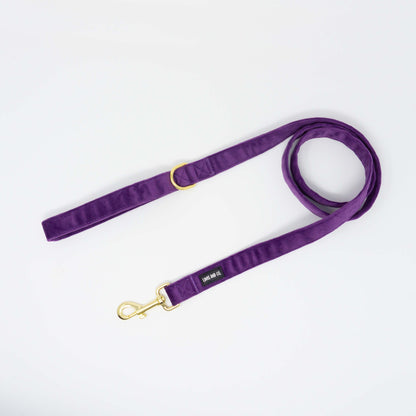 Amethyst Comfort Harness Set