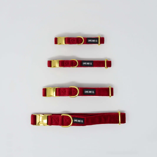 Scarlet Comfort Collar