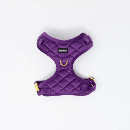 Amethyst Comfort Harness