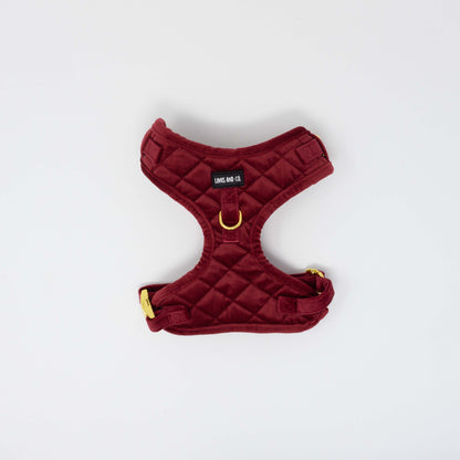 Scarlet Comfort Harness Set