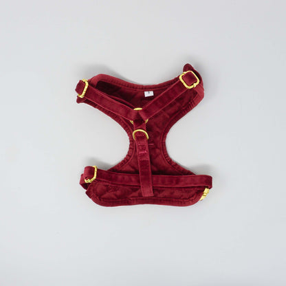 Scarlet Comfort Harness