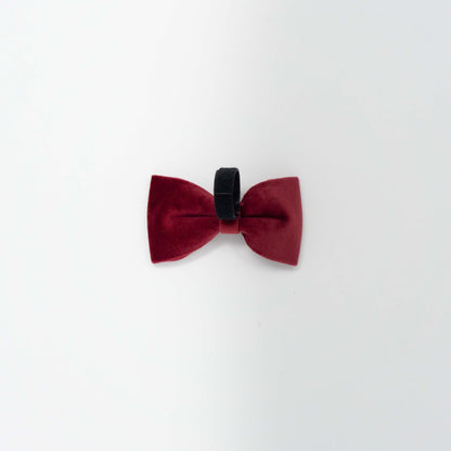 Scarlet Comfort Bow Tie