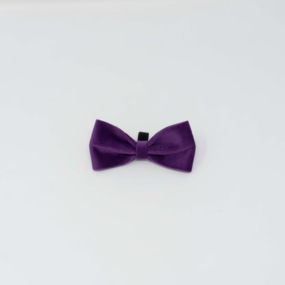 Amethyst Comfort Bow Tie