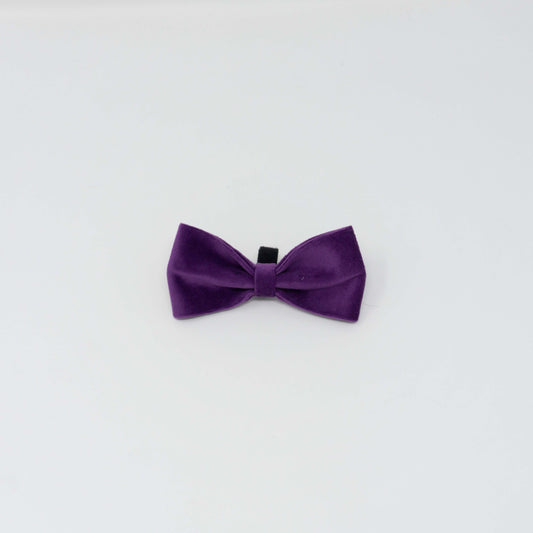 Amethyst Comfort Bow Tie