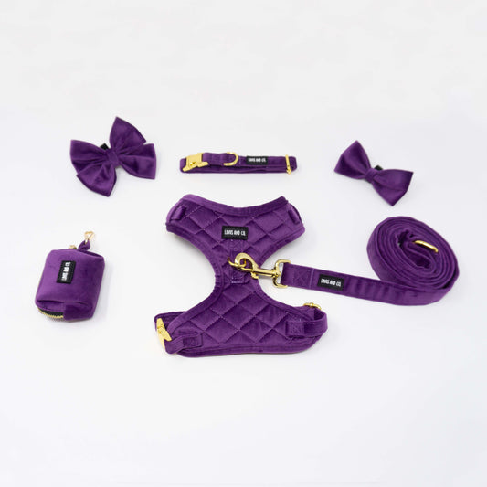 Amethyst Comfort Harness Set