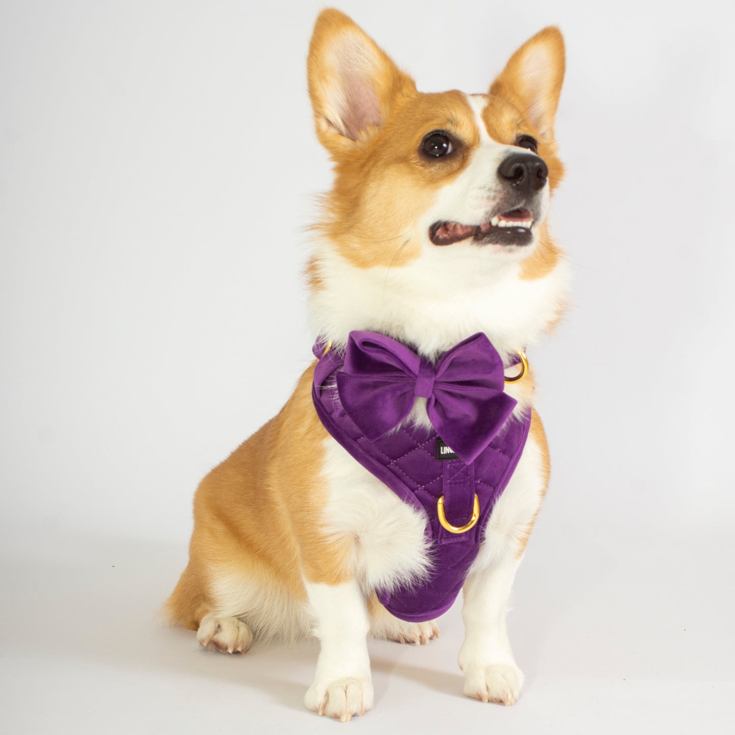 Amethyst Comfort Harness Set