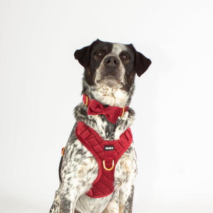 Scarlet Comfort Harness Set