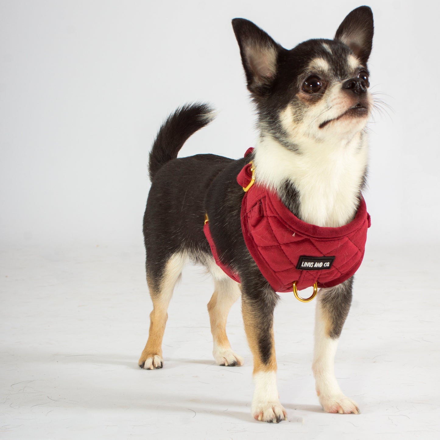 Scarlet Comfort Harness