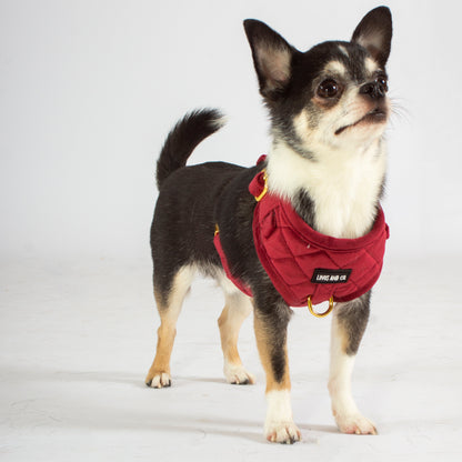 Scarlet Comfort Harness
