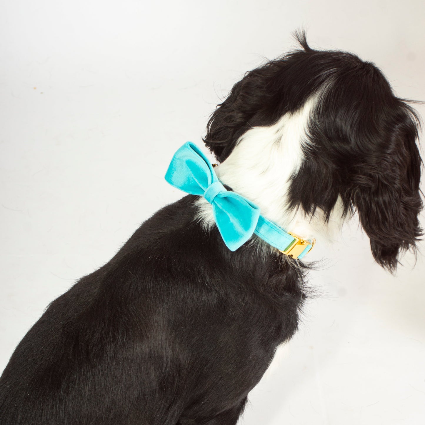 Azure Comfort Bow Tie