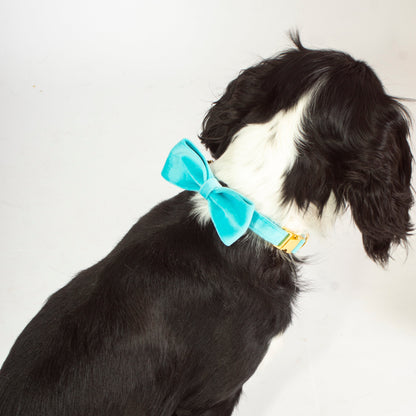 Azure Comfort Bow Tie