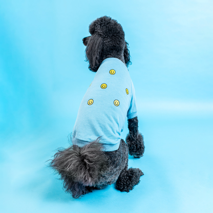 Smiley Sweater - Pet