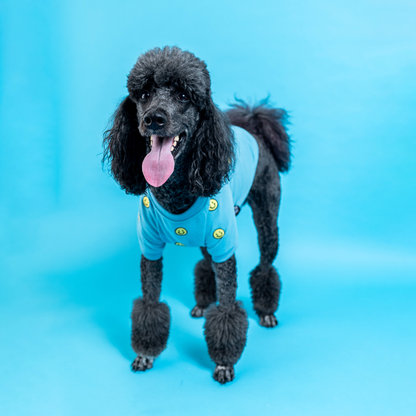 Smiley Sweater - Pet