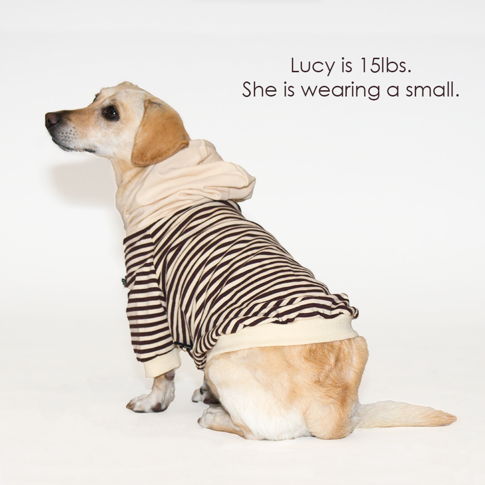 Striped Pet Hoodie
