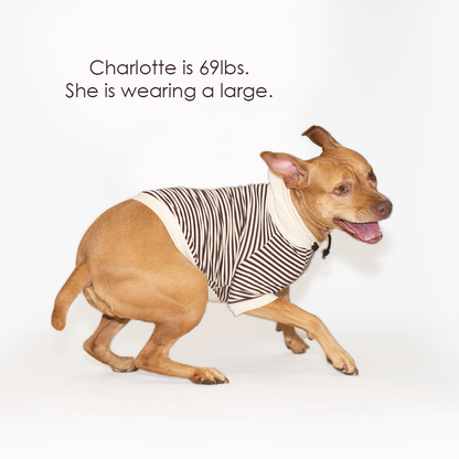 Striped Pet Hoodie