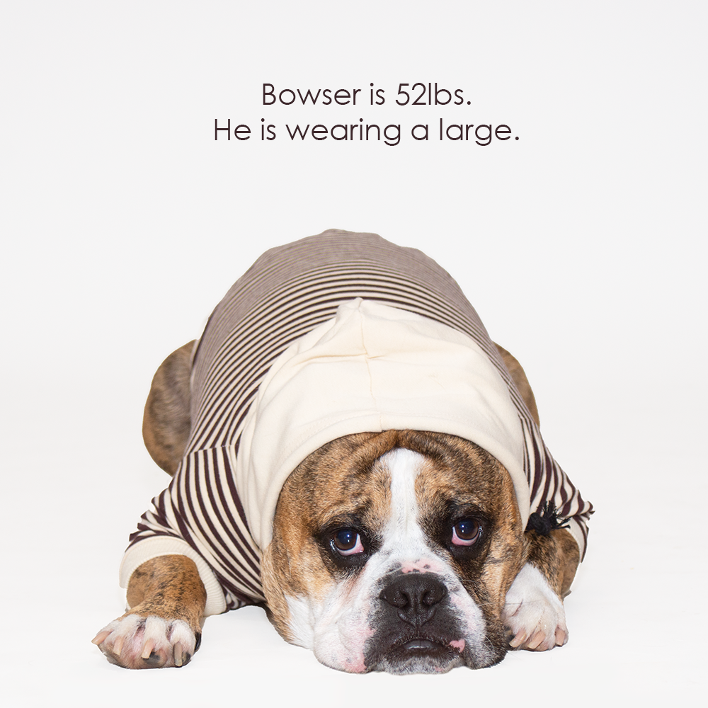 Striped Pet Hoodie